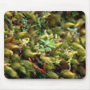 Suche nach moos mousepads Pflanze