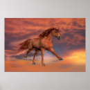 Suche nach wildes pferd poster Arabisch