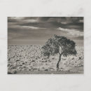 Suche nach pyramide postkarten Natur