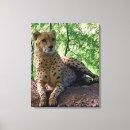 Suche nach gepard leinwandbilder Wandkunst
