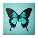 Suche nach schwarzer schmetterling fliesen Schwarzes