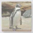 Suche nach pinguin untersetzer Zoo