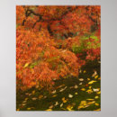 Suche nach japanischer ahorn poster Orange