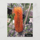 Suche nach karte von australien postkarten Australia