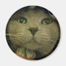 Suche nach nah magnete Katzenliebhaber