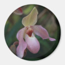 Suche nach orchidee magnete Blumen