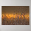 Suche nach erie poster Ohio