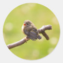 Suche nach niedliche vögel aufkleber Inspirierend