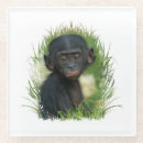 Suche nach primate untersetzer Affe