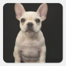 Suche nach french bulldog aufkleber Tiere