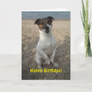 Suche nach capo Strand