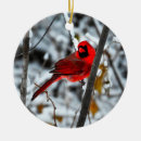 Suche nach roter kardinal ornamente Schön