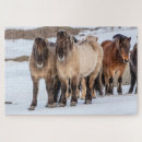 Suche nach isländisches pferd puzzle Winter