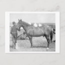 Suche nach pferd postkarten Fotografie