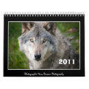 Suche nach wolf kalender Fotografie