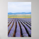 Suche nach plantage poster Feld