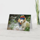 Suche nach cavachon karten Hund