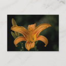 Suche nach deluxe visitenkarten Blume