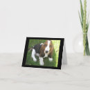 Suche nach basset karten Foto