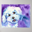 Suche nach bichon kunst poster Welpen