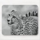 Suche nach gepunktete katze mousepads Tier