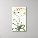 Suche nach elfenbein leinwandbilder Blumen