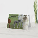 Suche nach alpaka karten Lustig