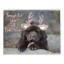 Suche nach bären kalender Fotografie