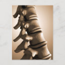 Suche nach conceptual postkarten Physiologie