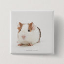 Suche nach farbbild buttons Studioschuß