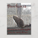 Suche nach ragdoll postkarten Liebe