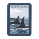 Suche nach orca magnete Alaska