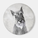 Suche nach schnauzer magnete Standard