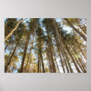 Suche nach naturlandschaft poster Ruhig