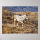 Suche nach maultiere poster Ranch