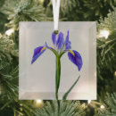 Suche nach flower ornamente Bouquet
