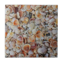 Suche nach seashell fliesen Muscheln