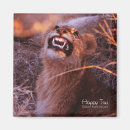 Suche nach lächelnde katze magnete Glücklich