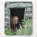 Suche nach ponys mousepads Tiere