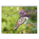 Suche nach schmetterlinge kalender Schwalbenschwanz