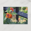Suche nach orange foto visitenkarten Blume