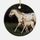 Suche nach appaloosa ornamente Stute und fohlen