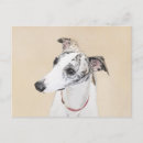 Suche nach whippets postkarten Niedlich