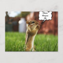 Suche nach verzeihen sie poster Lustig