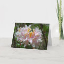 Suche nach rhododendron Blüten