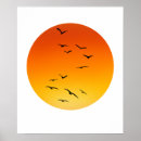 Suche nach vogelbilder poster Schön
