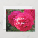 Suche nach schöne rosa rosen postkarten Für sie
