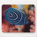 Suche nach ozeanleben mousepads Wildtiere