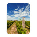 Suche nach sauvignon Bauernhof