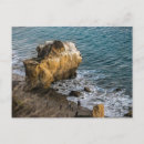 Suche nach matador Strand